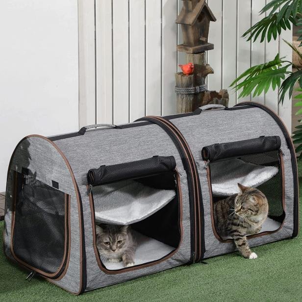 Cat Carrier For Two Cats