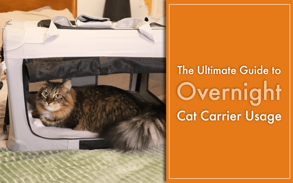 The Ultimate Guide to Overnight Cat Carrier Usage