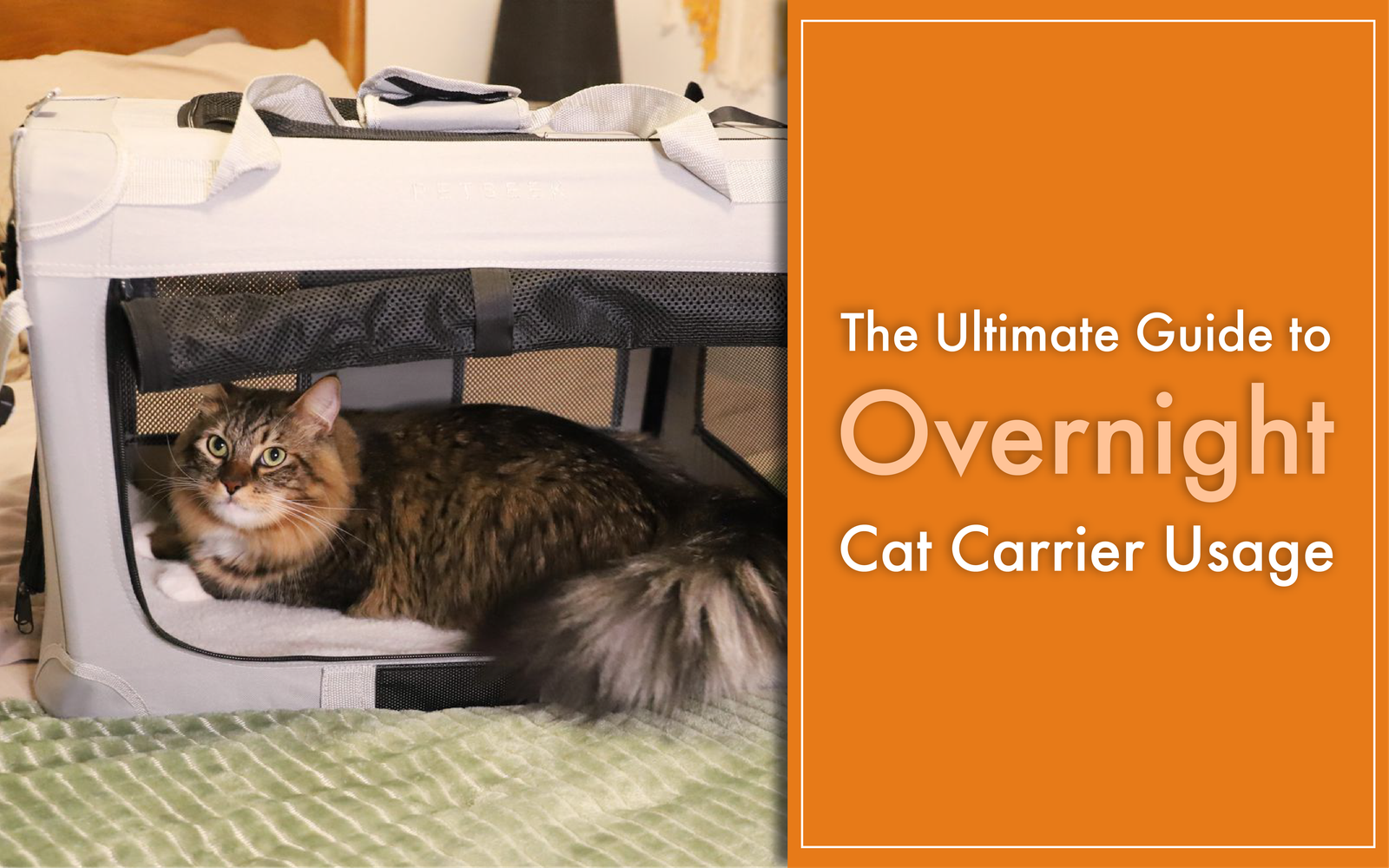 overnight cat carrier usages